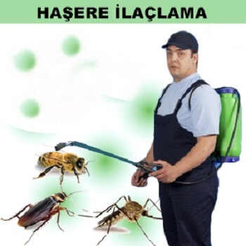 Doğankent Böcek İlaçlama